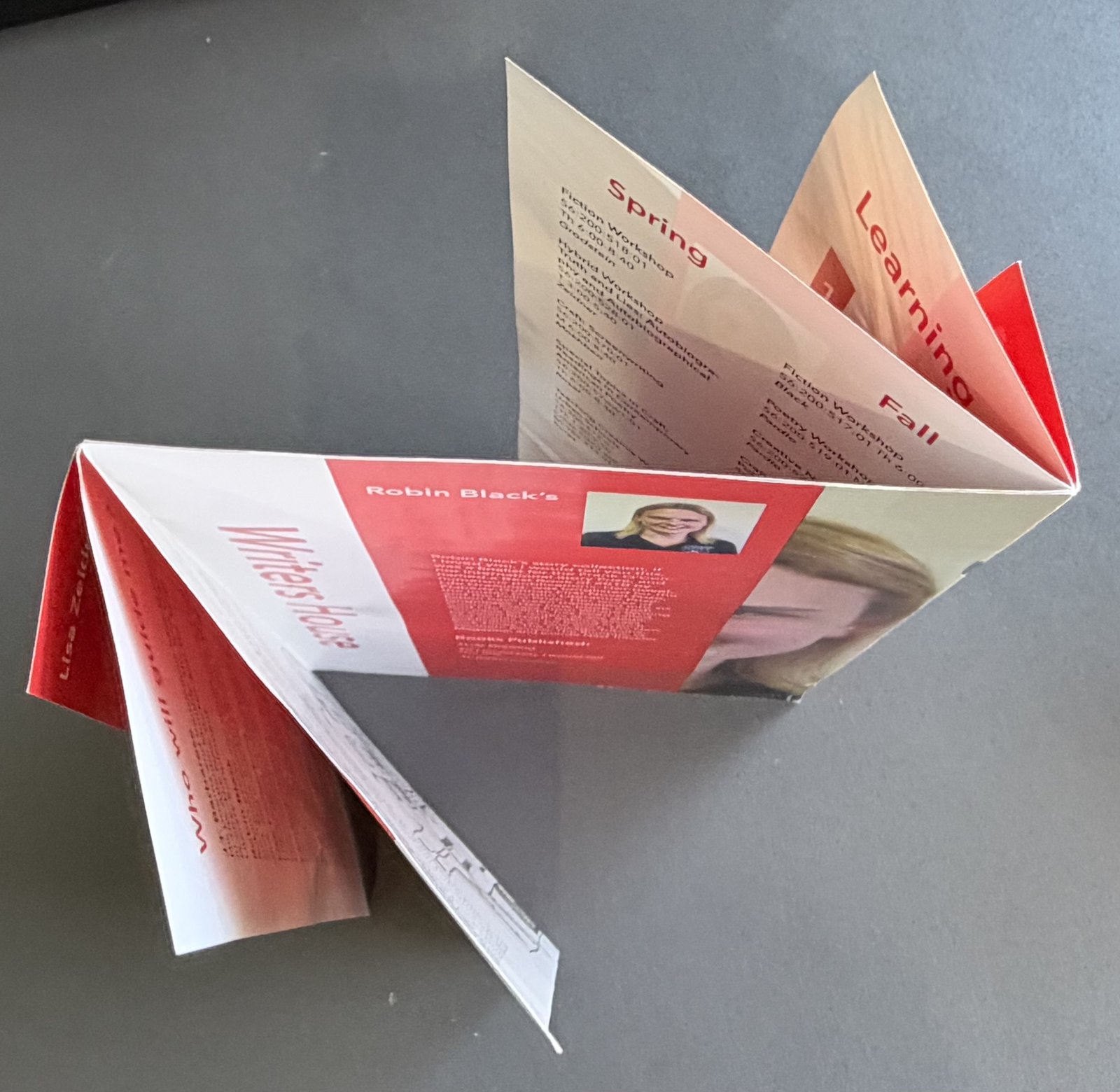The printed piece standing partly opened at an angle, showing how its narrow panels fold against each other